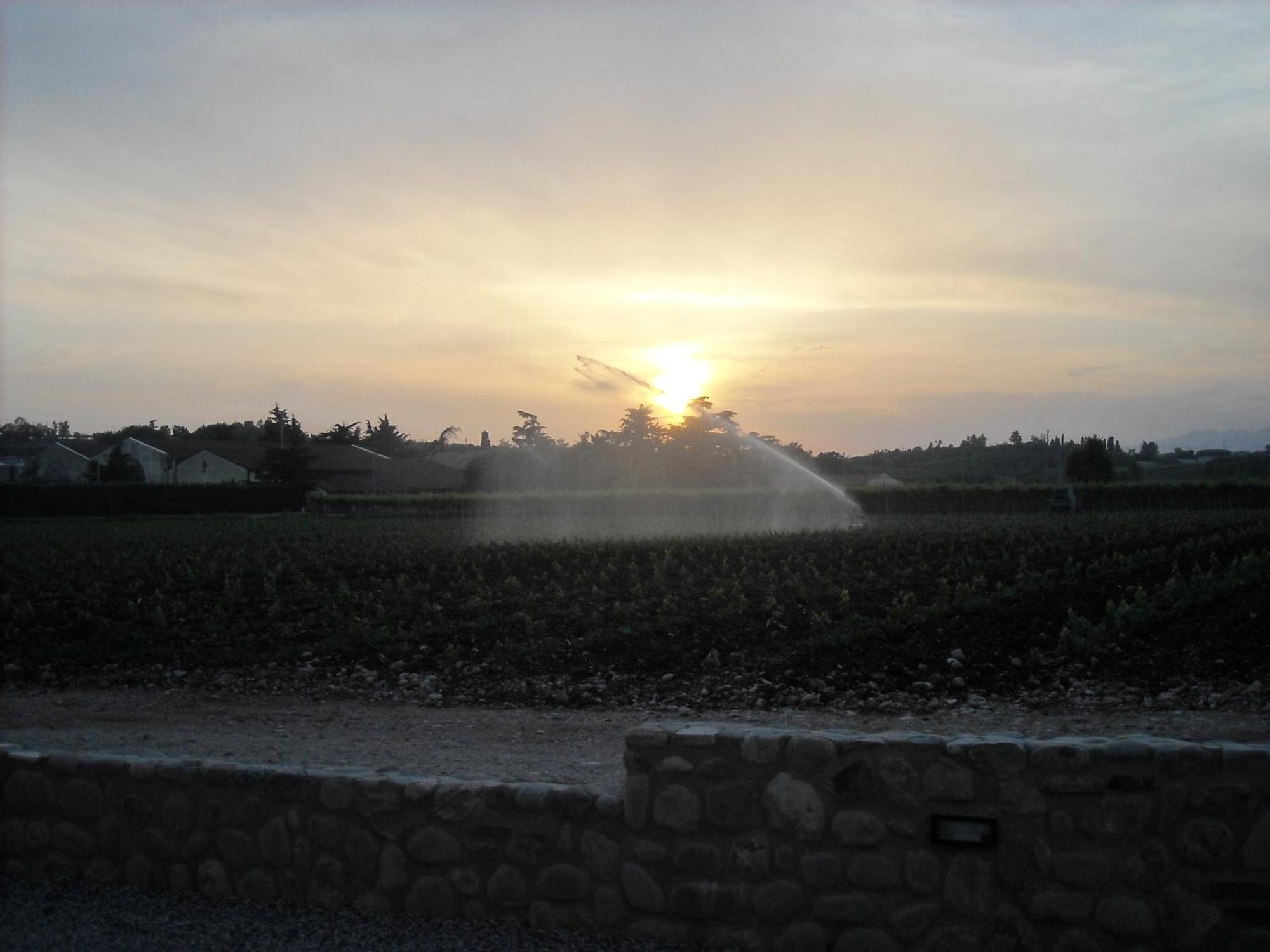 Agriturismo Le Campagnole Bardolino Zewnętrze zdjęcie
